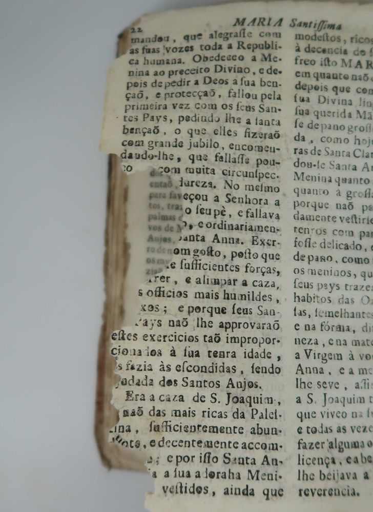 Imagem 6